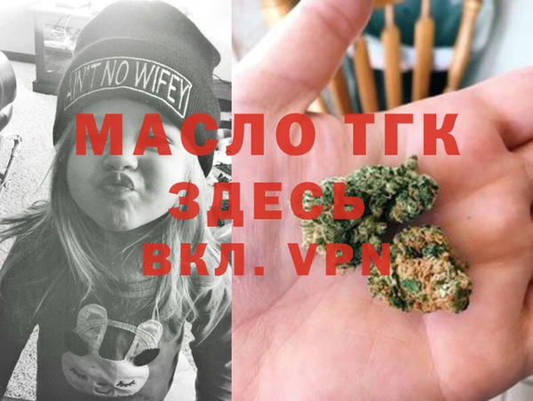 сатива Армянск