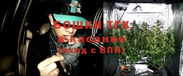 прущая мука Дмитриев