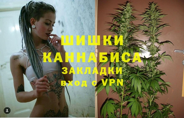 сатива Армянск