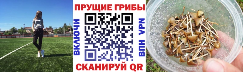 даркнет сайт  Лихославль  Псилоцибиновые грибы мицелий 